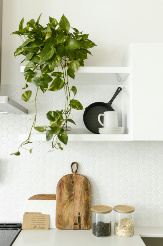 Home Essentials