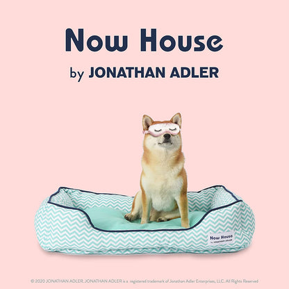 Teal Chevron Cuddler Dog Bed by Now House: Washable, Small Dog Bed